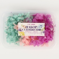 Набор сухоцветов &laquo;Гортензия&raquo;