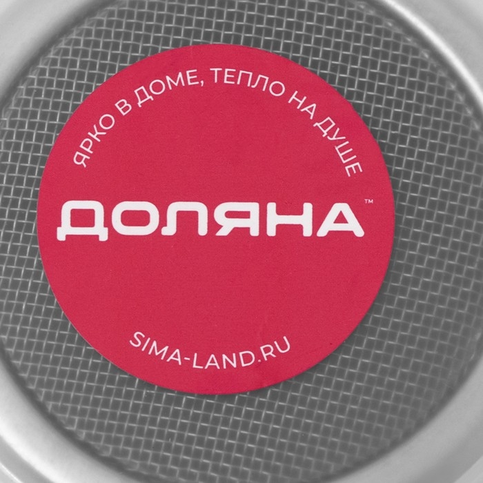 Диспенсер для сахарной пудры Доляна, 100 мл, 6&times;8 см, цвет хромированный