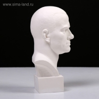 Гипсовая фигура известные люди: Бюст Маяковского, 9,5 х 11 х 23 см Гипсовая фигура известные люди: Бюст Маяковского, 9,5 х 11 х 23 см