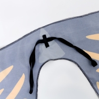 Карнавальный набор &laquo;Бабочка&raquo;, 5-7 лет: юбка, крылья