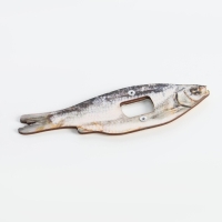 Открывашка для пива "Вобла" Открывашка для пива "Вобла"