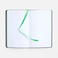 Ежедневник Nice Twice, недатированный, черный с ярко-зеленым