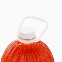 Жидкое мыло для рук РУССКАЯ ВЫГОДА, 5 л, аромат инжира и ириса