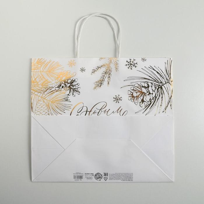 Пакет подарочный новогодний крафтовый Best winter, 32 х 28 х 15 см