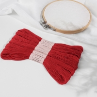 Набор ниток мулине №321, 8 ± 1 м, 6 шт, цвет тёмно-красный Набор ниток мулине №321, 8 ± 1 м, 6 шт, цвет тёмно-красный