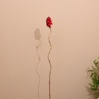 Сухоцвет на бамбуковом стебле 150 см красный Сухоцвет на бамбуковом стебле 150 см красный