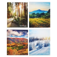 Тетрадь 96 листов в клетку Calligrata "Природа", обложка мелованный картон, блок №2, белизна 75% (серые листы), МИКС Тетрадь 96 листов в клетку Calligrata "Природа", обложка мелованный картон, блок №2, белизна 75% (серые листы), МИКС