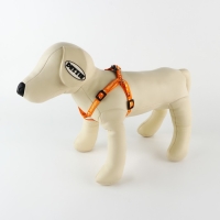 Комплект &laquo;Любимчик&raquo;, шлейка 24-34 см, поводок 120х1 см