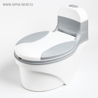 Горшок-унитаз, цвет белый/серый Горшок-унитаз, цвет белый/серый