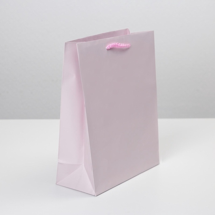 Пакет подарочный ламинированный, упаковка, &laquo;Розовый&raquo;, MS 18 х 23 х 8 см