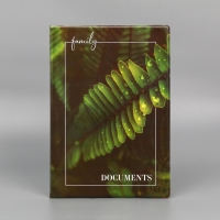 Папка для семейных документов &laquo;Docs&raquo;, 8 файлов А4