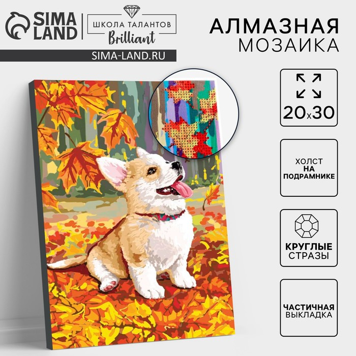 Алмазная мозаика на подрамнике с частичным заполнением &laquo;Корги&raquo;, 20 x 30 см