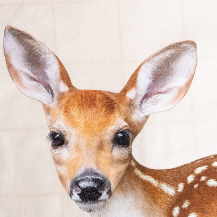 Постельное бельё &laquo;Этель: Олененок&raquo;, 1.5 сп., 143х215 см., 150х214 см., 50х70 см. - 1 шт., 100% хл., бязь