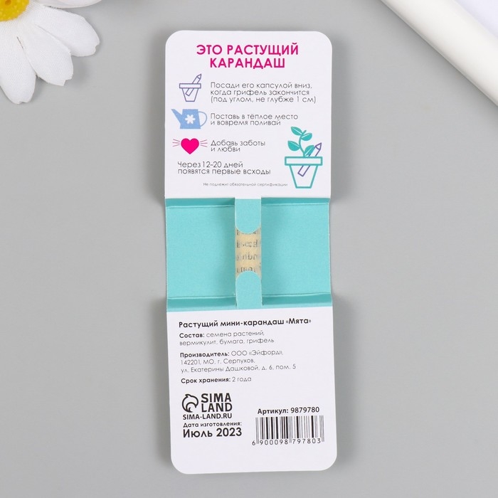 Растущие подарочные карандаши mini "Мята"