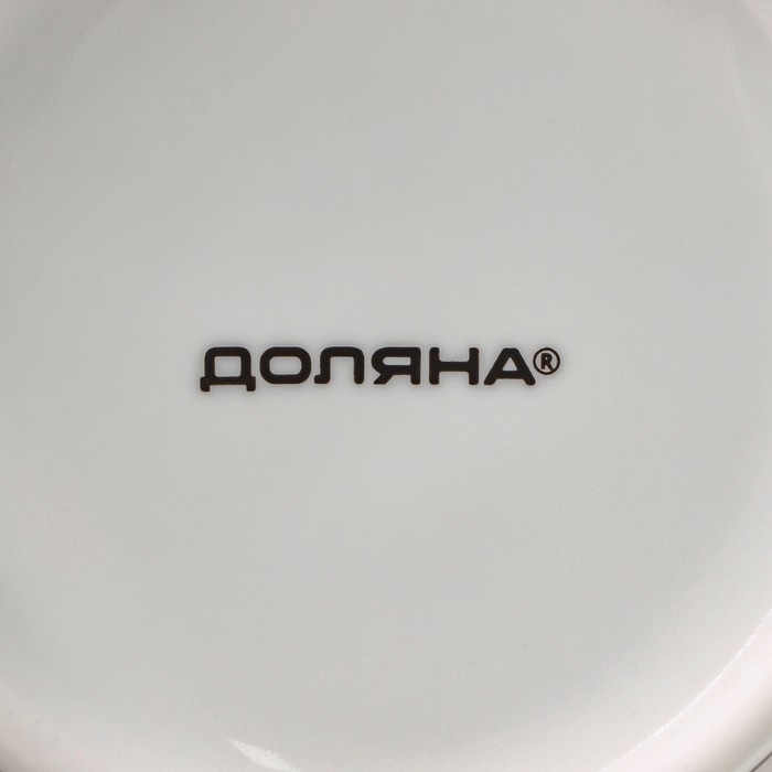 Кружка фарфоровая Доляна «Чёрный кот», 300 мл, цвет белый Кружка фарфоровая Доляна «Чёрный кот», 300 мл, цвет белый