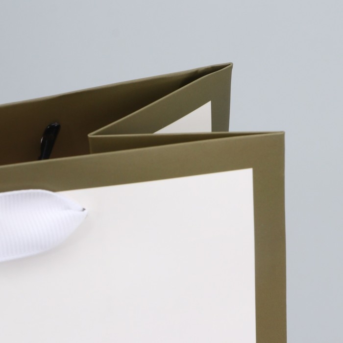 Пакет подарочный, упаковка, &laquo;Белый&raquo;, 27 х 23 х 11.5 см