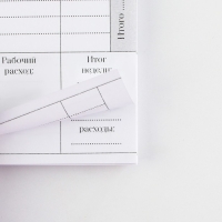 Планинг для записи клиентов А5, 98 л "Планер мастера"