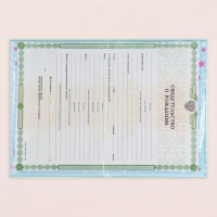 Папка под свидетельство о рождении "Мальчик" шарик, звездочки, А5 Папка под свидетельство о рождении "Мальчик" шарик, звездочки, А5