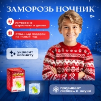 Набор для опытов &laquo;Снежный ночник: Змейка&raquo;, своими руками