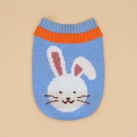 Свитер "Зайка", S (ДС 23, ОШ 23, ОГ 26-45 см Свитер "Зайка", S (ДС 23, ОШ 23, ОГ 26-45 см