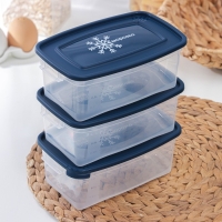 Набор прямоугольных контейнеров для замораживания продуктов &laquo;Морозко&raquo;, 1 л , 3 шт, прозрачные, крышки микс