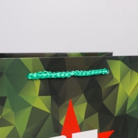 Пакет подарочный ламинированный вертикальный, упаковка, &laquo;Защитник&raquo;, ML 23 х 27 х 11.5 см