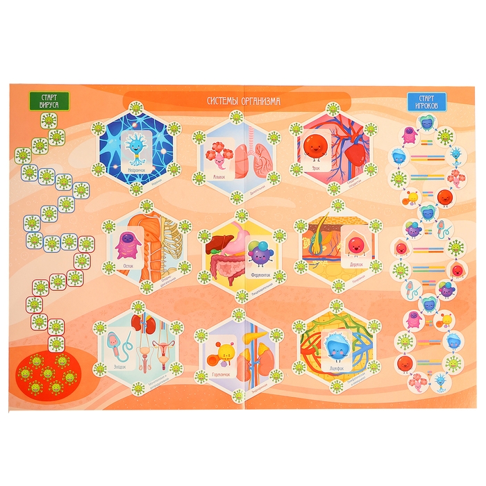 Настольная игра «Викторина. Как устроен человек?», 7-12 лет Настольная игра «Викторина. Как устроен человек?», 7-12 лет