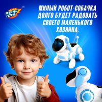 Собачка-робот «Умный Тобби», ходит, поёт, горят глазки, русская озвучка, работает от батареек, цвет голубой Собачка-робот «Умный Тобби», ходит, поёт, горят глазки, русская озвучка, работает от батареек, цвет голубой
