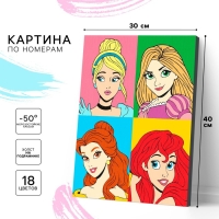 Картина по номерам на подрамнике, 30х40 см, Принцессы