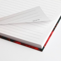 Ежедневник в подарочной коробке &laquo;В этот весенний день. Расцветай.&raquo;, 80 листов