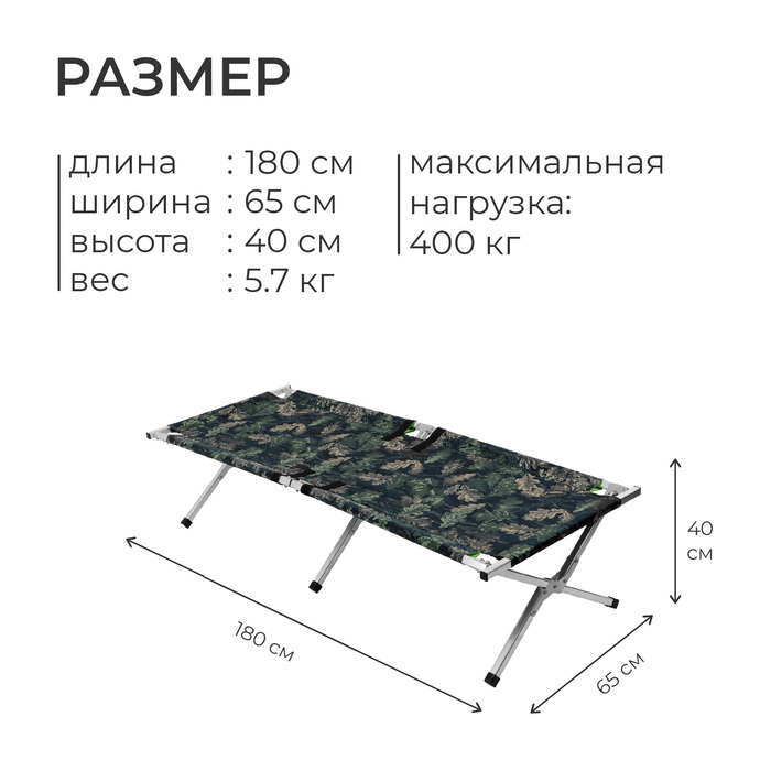 Раскладушка &laquo;Медведь&raquo;, 180 х 65 х 40 см, цвет МИКС