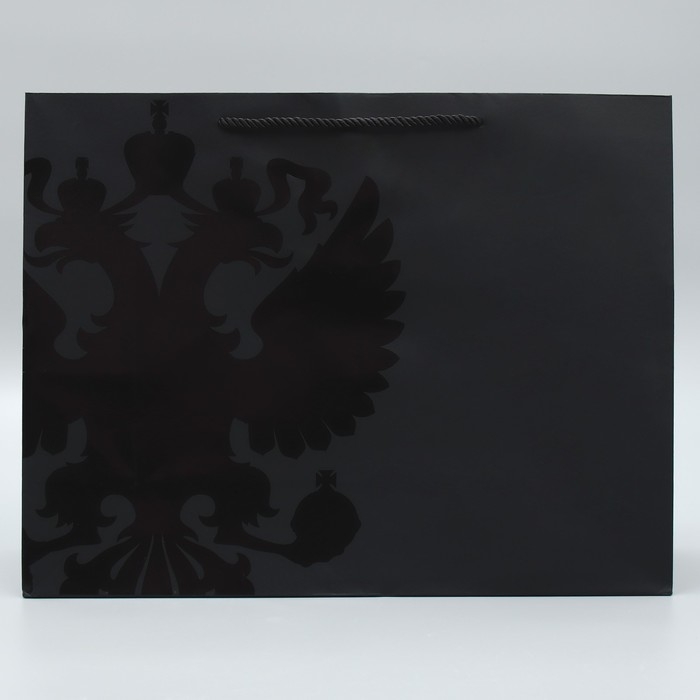 Пакет подарочный, упаковка, &laquo;Россия&raquo;, L 38 х 29 х 13 см