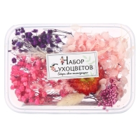 Набор для творчества «Набор сухоцветов», большой, розовый, красный, фиолетовый Набор для творчества «Набор сухоцветов», большой, розовый, красный, фиолетовый