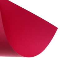 Картон цветной двусторонний А4, 8 листов, 8 цветов "Слон и тигр", немелованный, 220 г/м2, в пленке Картон цветной двусторонний А4, 8 листов, 8 цветов "Слон и тигр", немелованный, 220 г/м2, в пленке