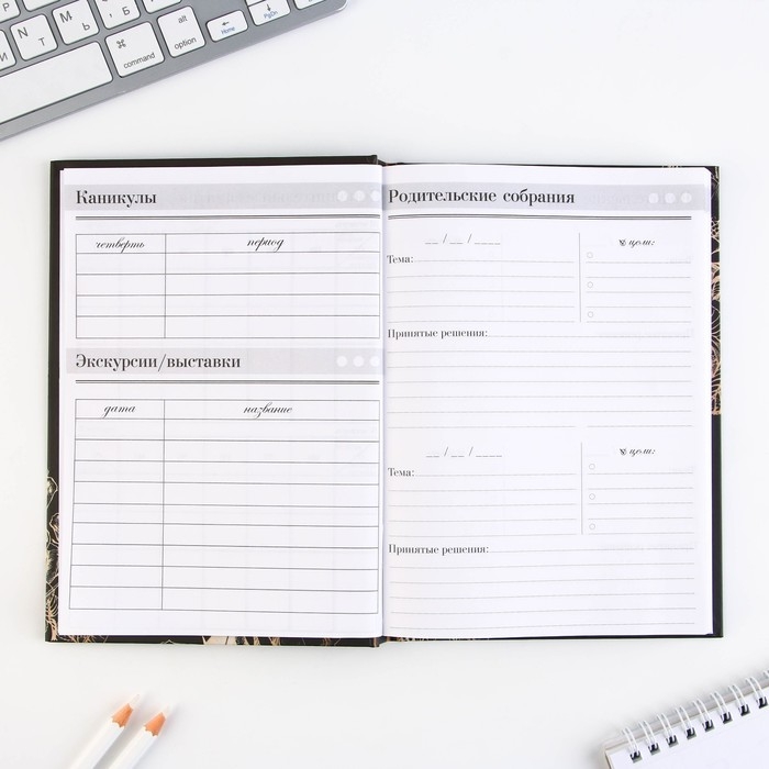 Набор &laquo;Золотой учитель&raquo;: ежедневник А5 160 листов, планинг 50 листов и ручка пластик