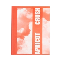 Тетрадь 96 листов в клетку Calligrata "Apricot Crush", обложка мелованный картон, глянцевая ламинация, блок офсет МИКС Тетрадь 96 листов в клетку Calligrata "Apricot Crush", обложка мелованный картон, глянцевая ламинация, блок офсет МИКС