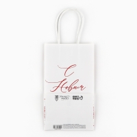 Пакет подарочный новогодний &laquo;С Новым годом&raquo;, снежинки, белый крафт, 12 х 21 х 9 см , Новый год