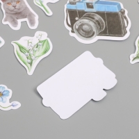 Наклейки для творчества "Коты, голубые цветы и фото" 3,5х5 см набор 40 шт 9,4х8,4х0,5 см
