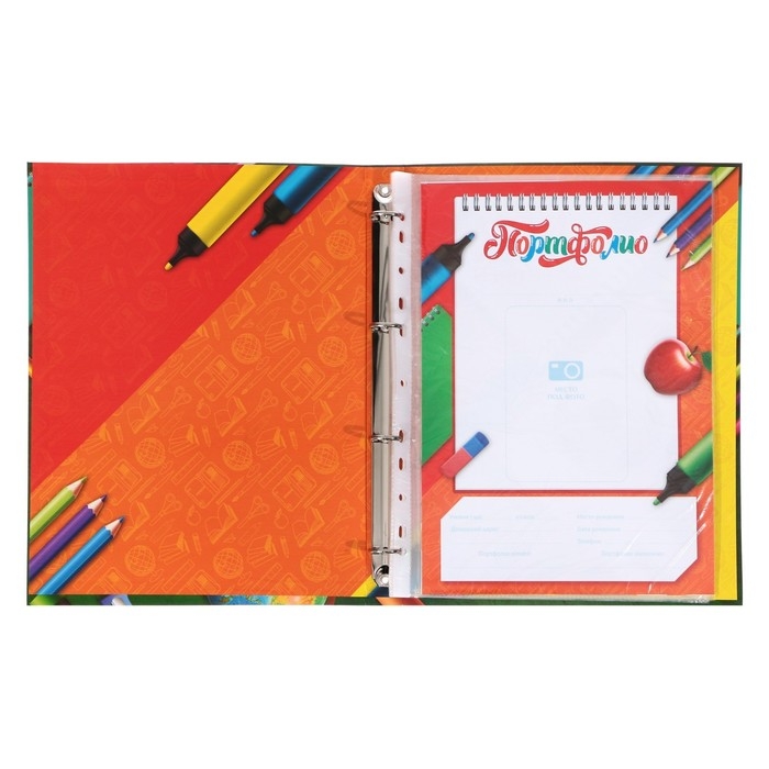 Папка школьная на кольцах &laquo;Портфолио школьника&raquo;, 6 листов-разделителей, 24,5 х 32 см.