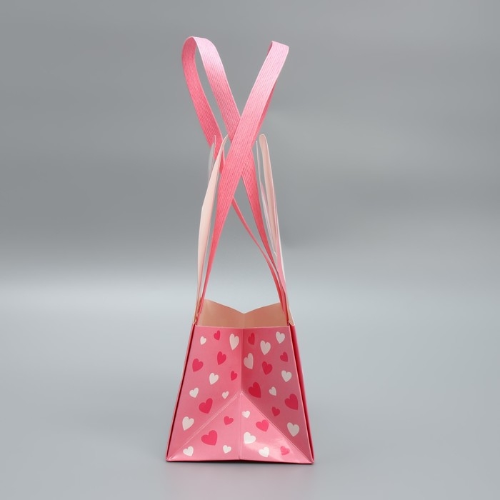 Переноски для цветов «Зайка», 14 × 10 × 9 см Переноски для цветов «Зайка», 14 × 10 × 9 см