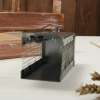 Мышеловка-ловушка (клетка), 13 × 6 × 6 см, металл Мышеловка-ловушка (клетка), 13 × 6 × 6 см, металл