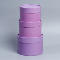 Набор шляпных коробок 3 в1, упаковка подарочная, (16х10,14х9,13х8,5) лавандовый Набор шляпных коробок 3 в1, упаковка подарочная, (16х10,14х9,13х8,5) лавандовый