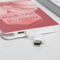 Зарядное устройство &laquo;Расцветай от счастья&raquo;, 2500 mAh, 6 х 9,5 см