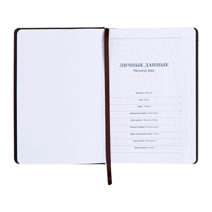 Ежедневник недатированный, А5, 140л, клетка, обл.кожзам, Стиль, синий