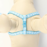 Комплект прошитый "Лапки", поводок 120 х 1 см, ОГ 23-35 см, голубой