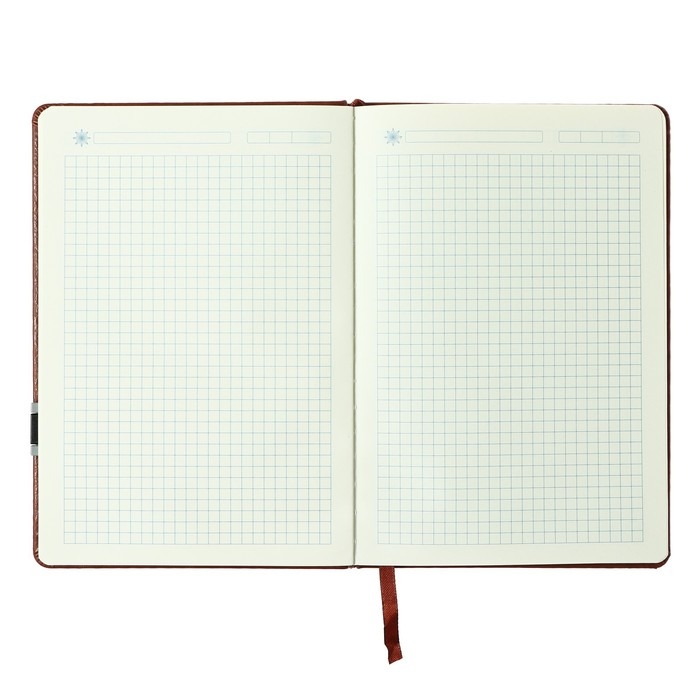 Ежедневник недатированный, обложка ПВХ, формат А5, 140 листов в клетку, на резинке, с ручкой, МИКС