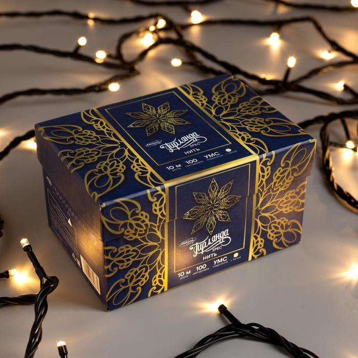 Гирлянда &laquo;Нить&raquo; 10 м, IP44, УМС, тёмная нить, 100 LED, свечение тёплое белое, 220 В