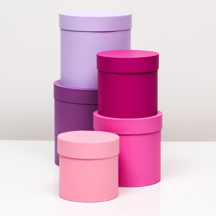 Набор шляпных коробок 5 в 1, сиреневый, 23 х 23-15 х 15 см Набор шляпных коробок 5 в 1, сиреневый, 23 х 23-15 х 15 см