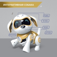 Робот собака «Чаппи» IQ BOT, интерактивный: сенсорный, свет, звук, музыкальный, танцующий, на аккумуляторе, на русском языке, золотой Робот собака «Чаппи» IQ BOT, интерактивный: сенсорный, свет, звук, музыкальный, танцующий, на аккумуляторе, на русском языке, золотой