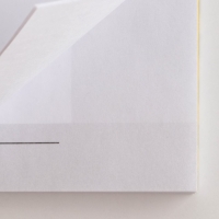 Подарочный набор &laquo;100% крутой мужик&raquo;: планинг 50 листов, стикеры-закладки и ручка пластик